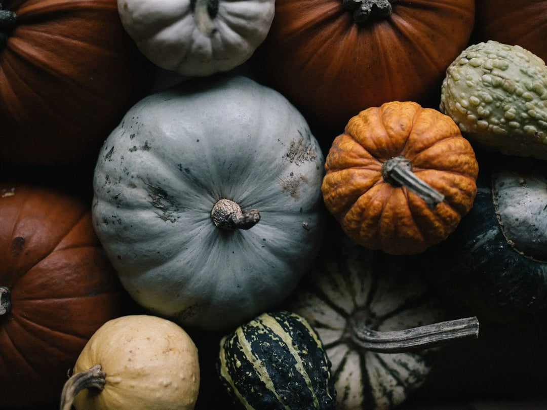 Variedad de verduras de invierno frescas y nutritivas.