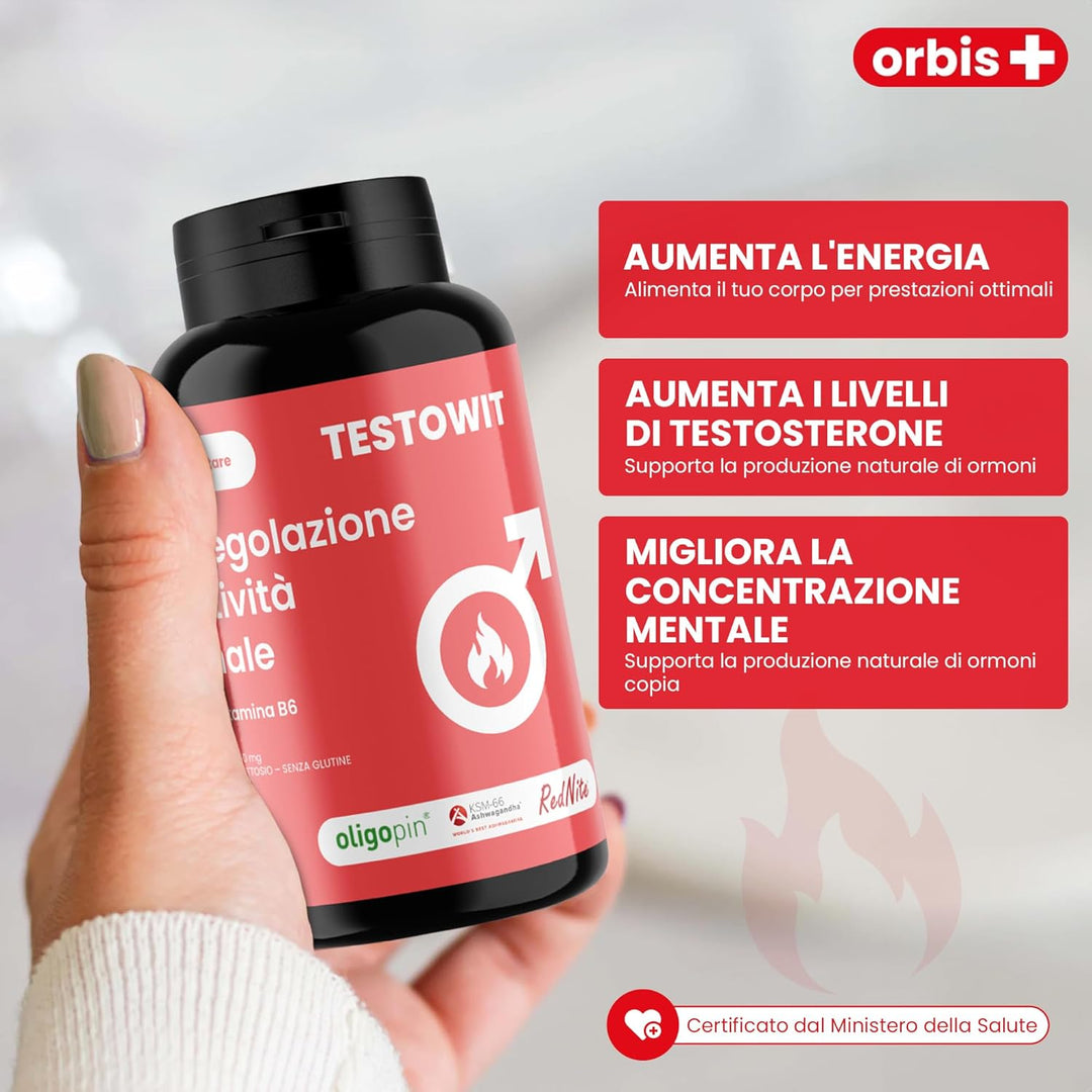 Protocolo ORBIS Completo 🌍✨🧳 - ORBIS Lifestyle