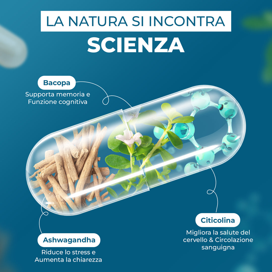 NEUROWIT - Memoria y Funciones Cognitivas (90 cps) - ORBIS Lifestyle